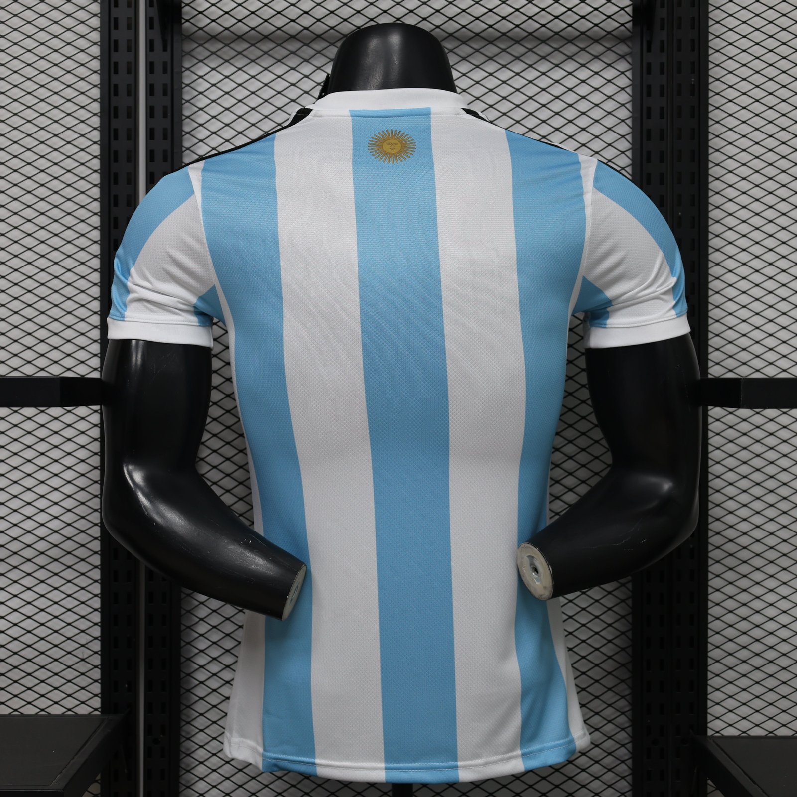 Alternative view of Argentina concept 2026 jersey