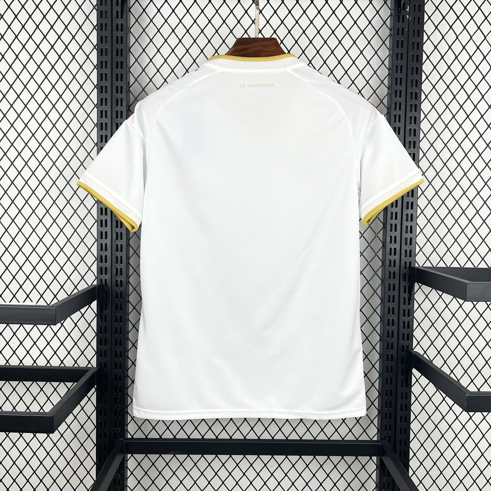 Alternative view of Venezuela World Cup 2026 jersey