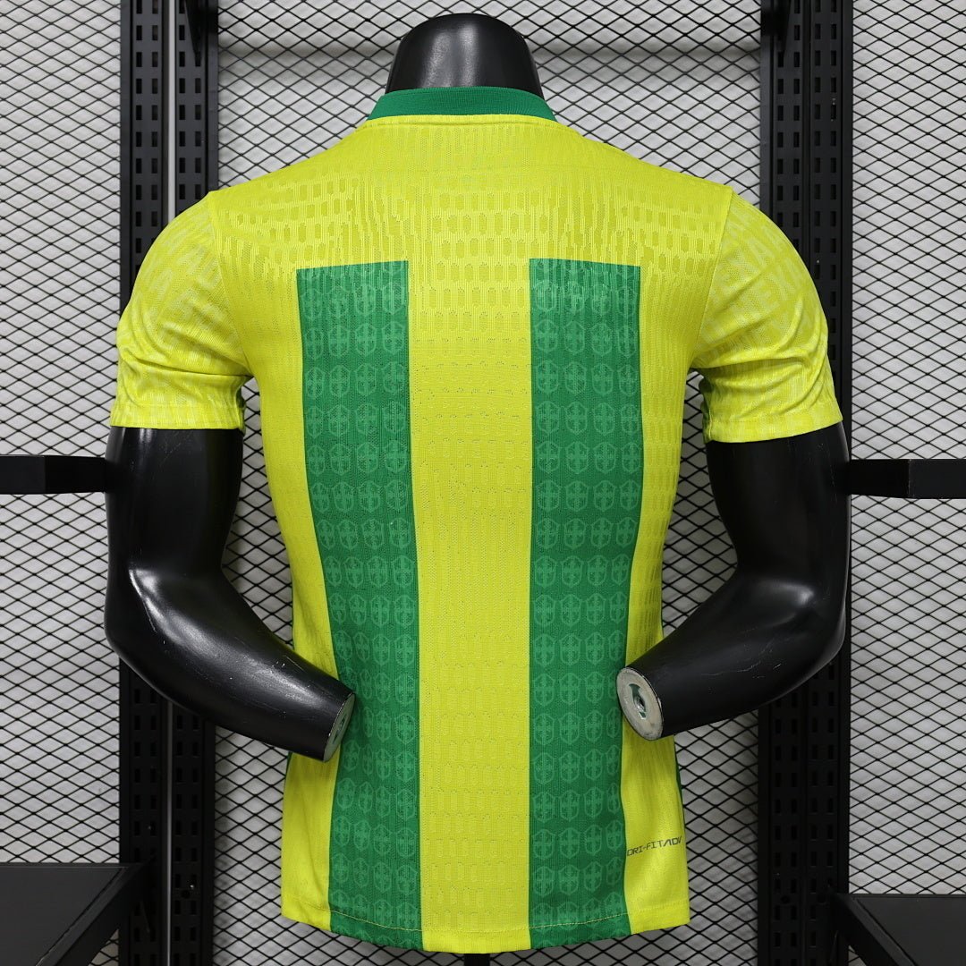 Alternative view of Brazil Concept 2026 Jersey