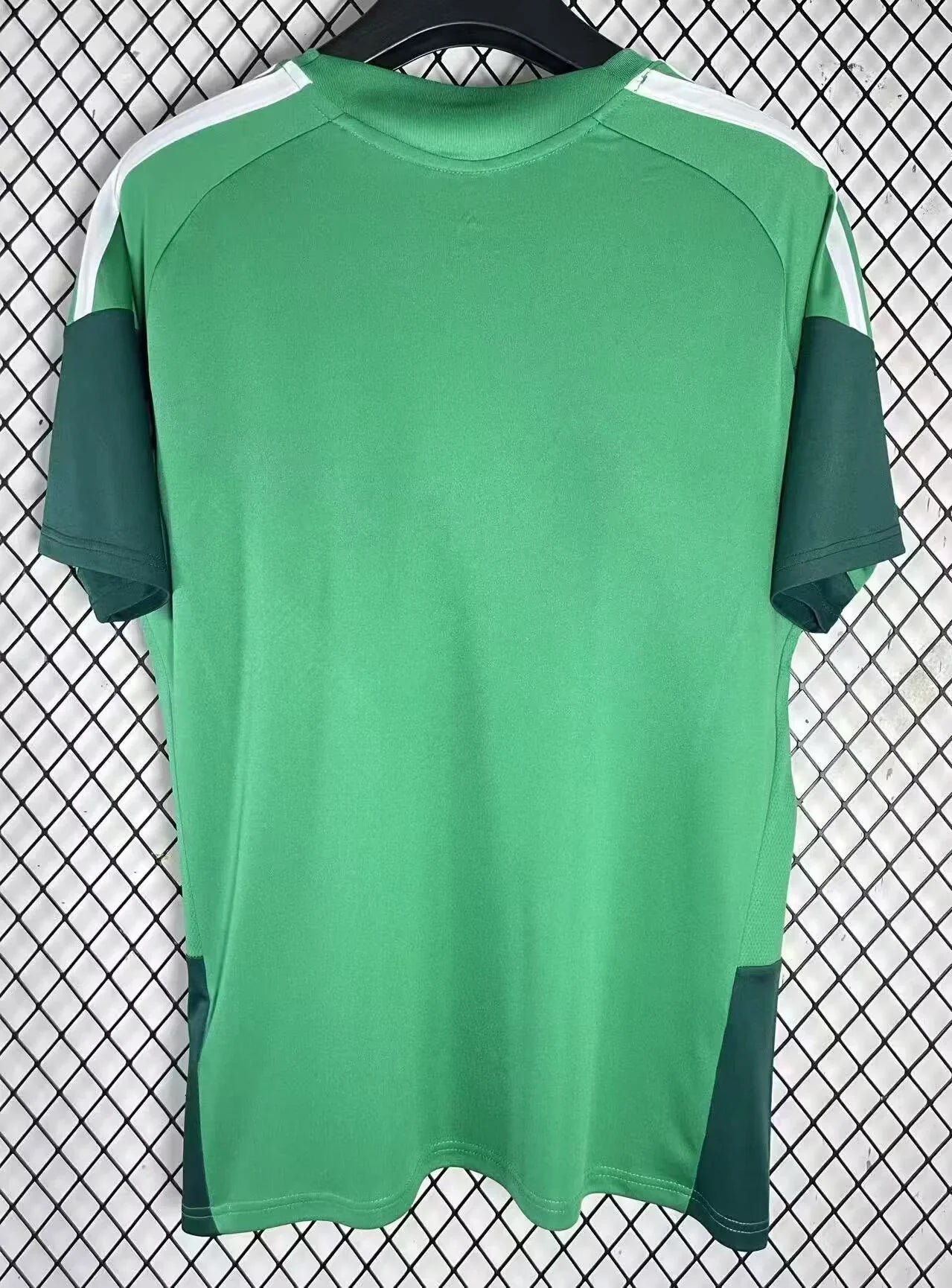 Alternative view of Algeria 2026 concept jersey