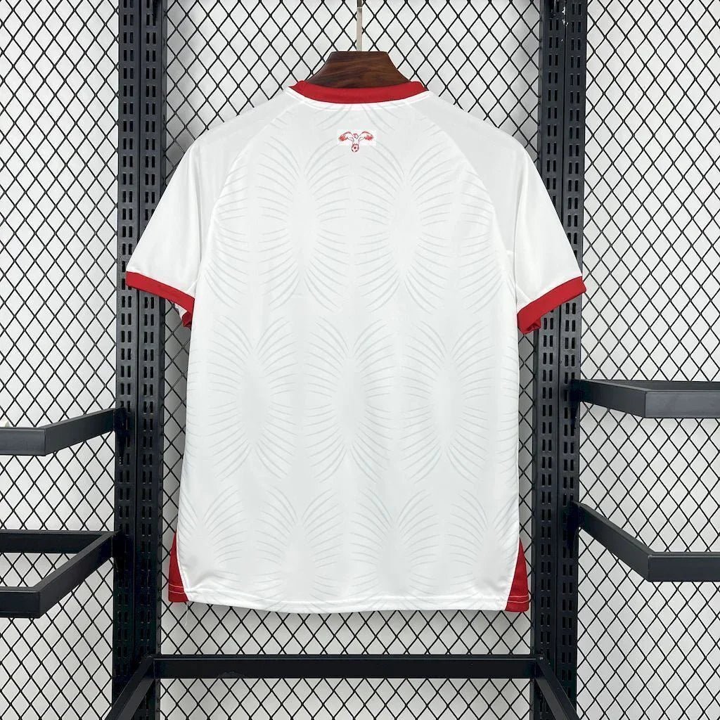 Alternative view of Jordan World Cup 2026 jersey